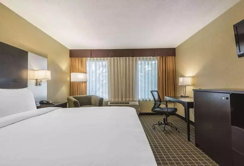 Szálloda Quality Inn & Suites Downtown