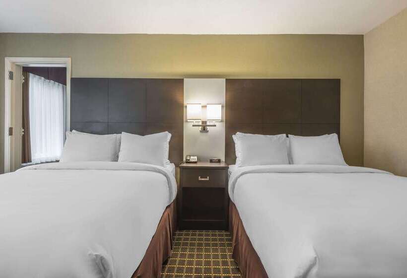 فندق Quality Inn & Suites Downtown