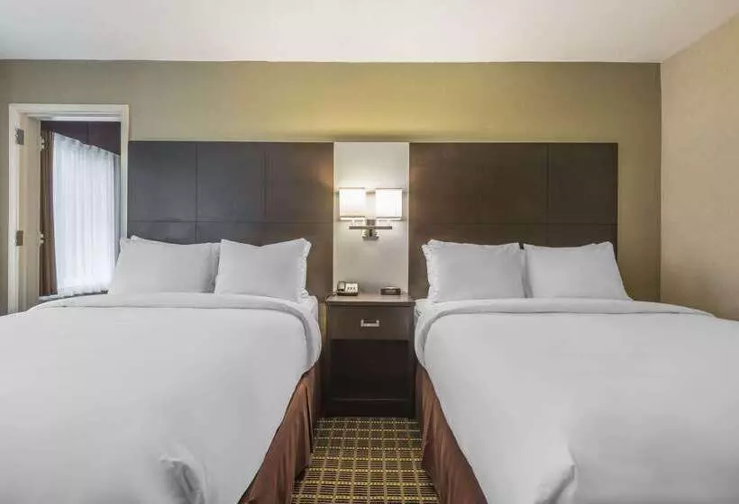 Szálloda Quality Inn & Suites Downtown