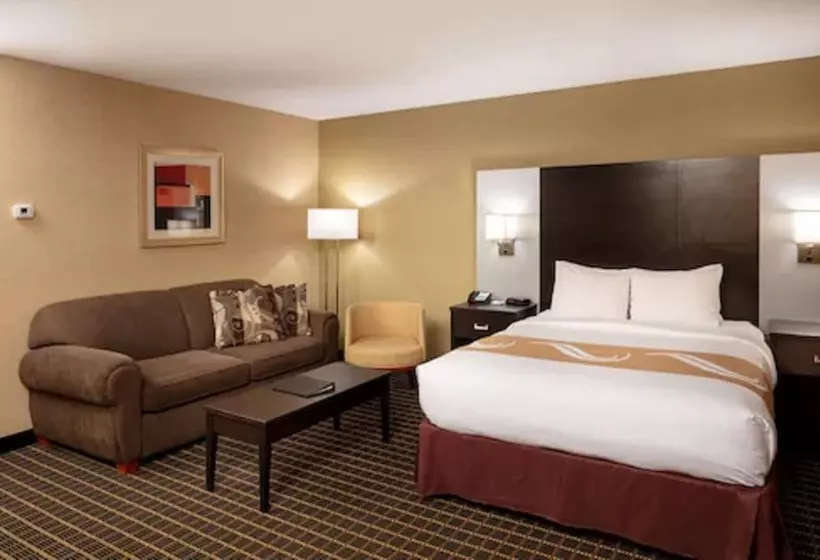 فندق Quality Inn & Suites Downtown