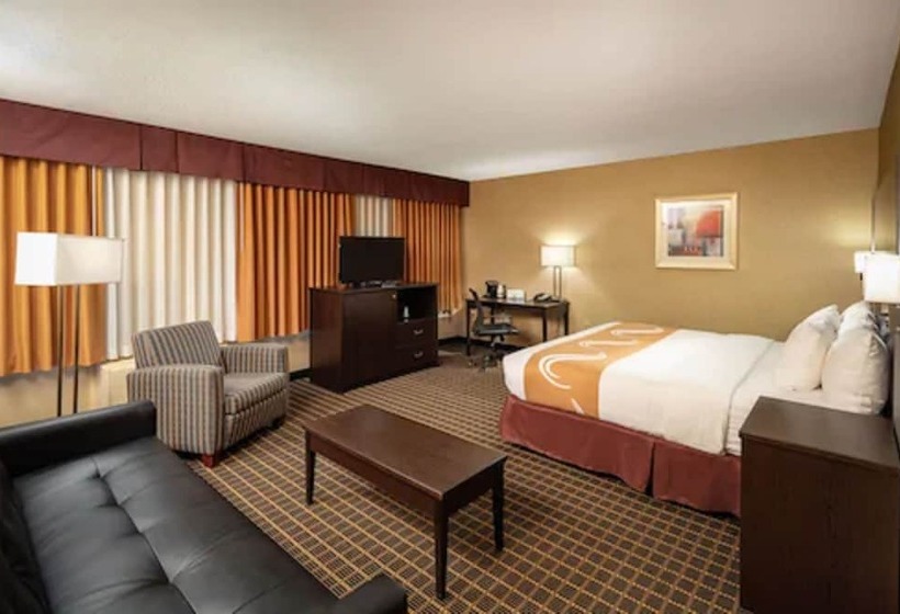 فندق Quality Inn & Suites Downtown