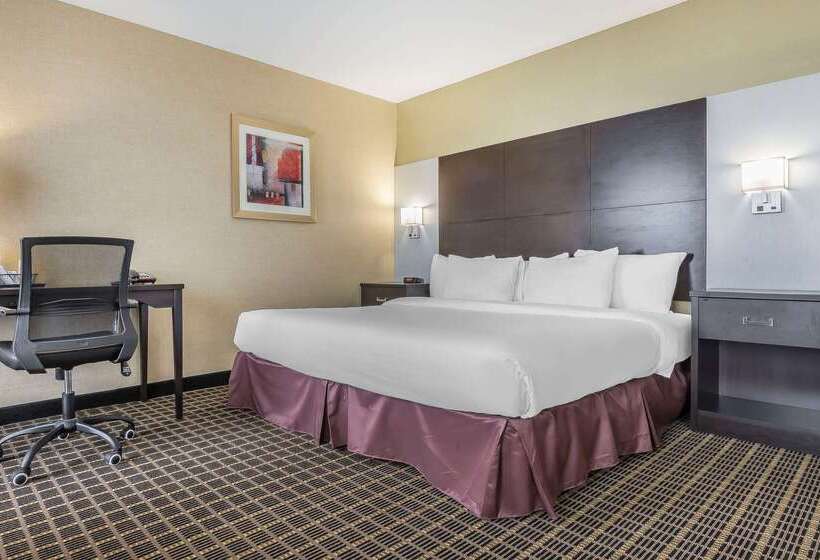 فندق Quality Inn & Suites Downtown
