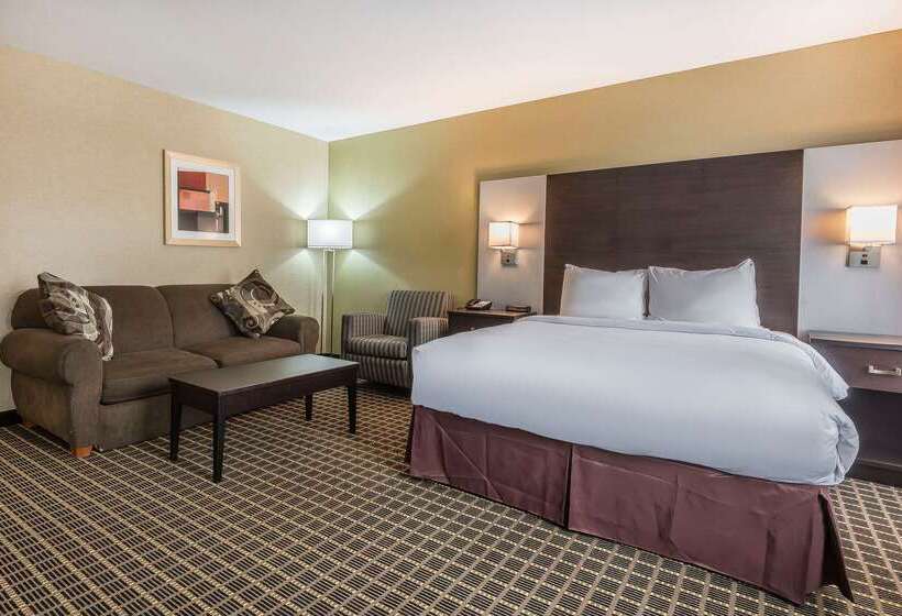 فندق Quality Inn & Suites Downtown