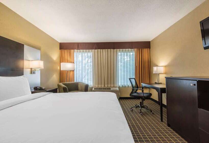 فندق Quality Inn & Suites Downtown