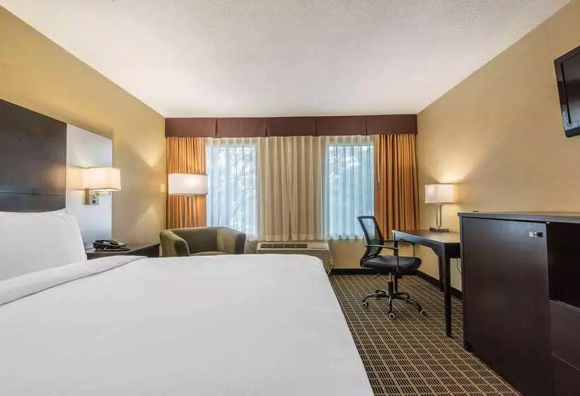 Szálloda Quality Inn & Suites Downtown