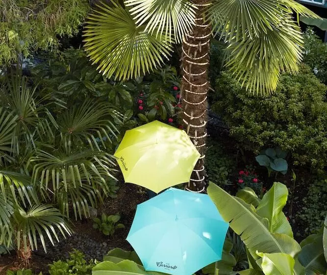 בית מלון כפרי The Burrard