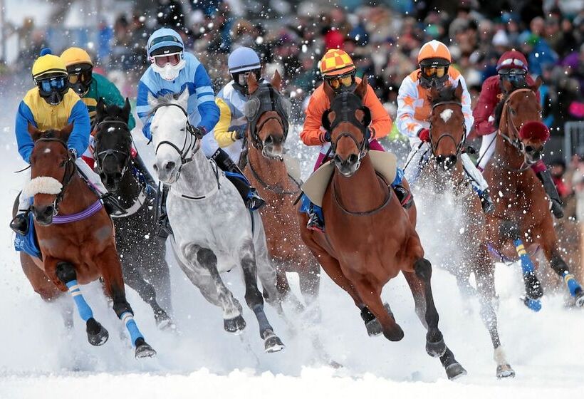 호텔 Bernina 1865 By Kleos Group Collection