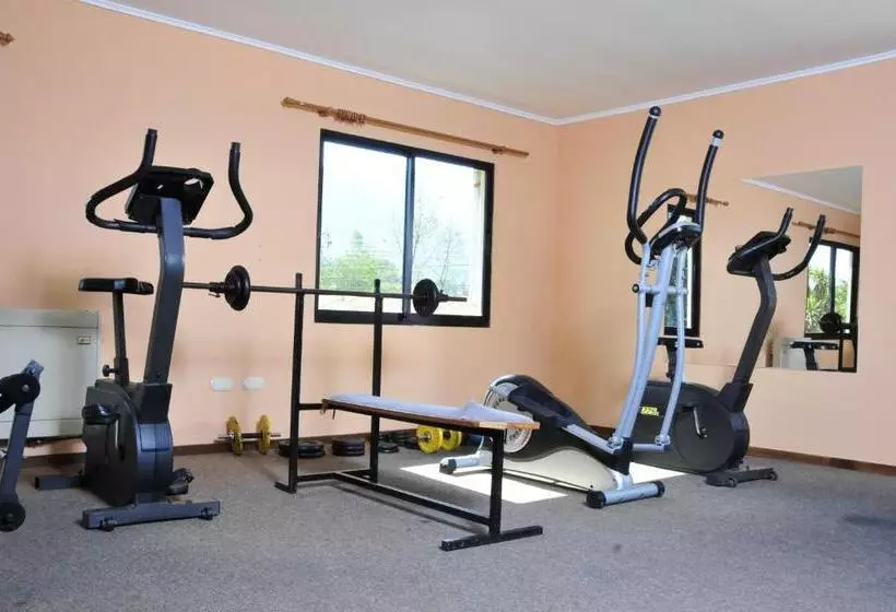 בית מלון כפרי El Copihue Olmué