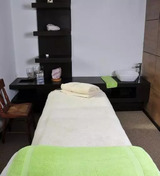 בית מלון כפרי El Copihue Olmué