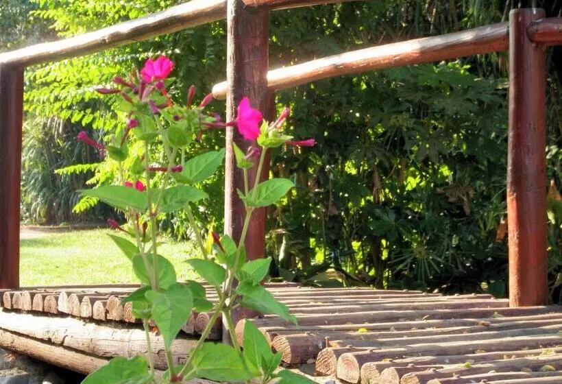 בית מלון כפרי El Copihue Olmué