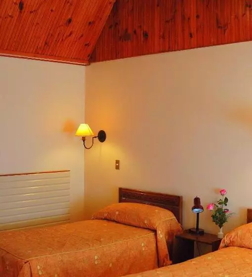 בית מלון כפרי El Copihue Olmué