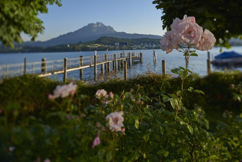هتل Hermitage Lake Lucerne Beach Club & Lifestyle