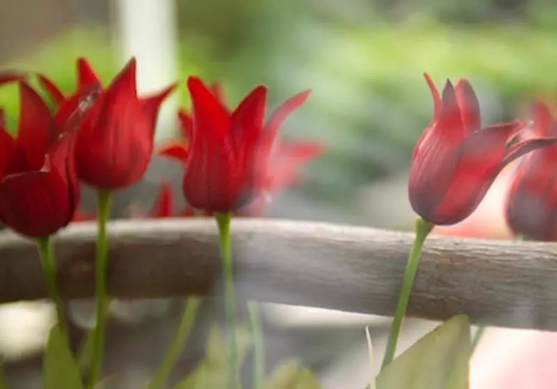 Hotel Zum Zeppelin Hamburg
