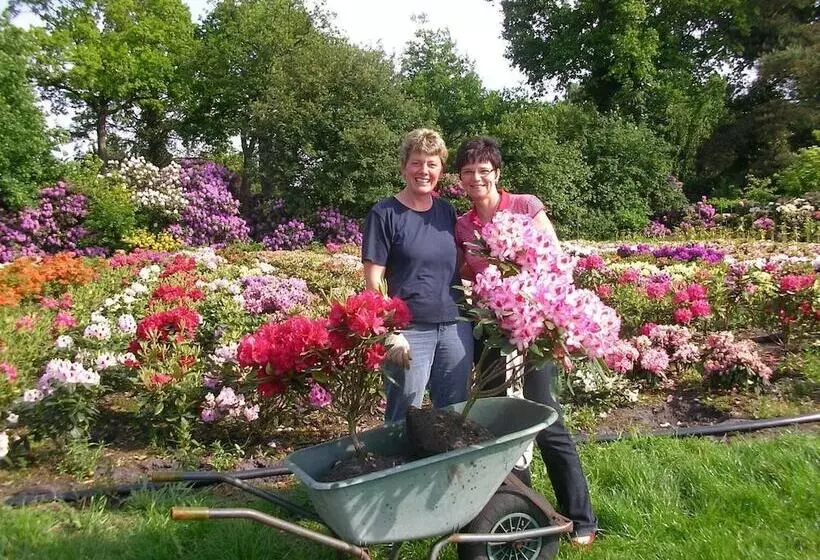 فندق Ammerländer Hof