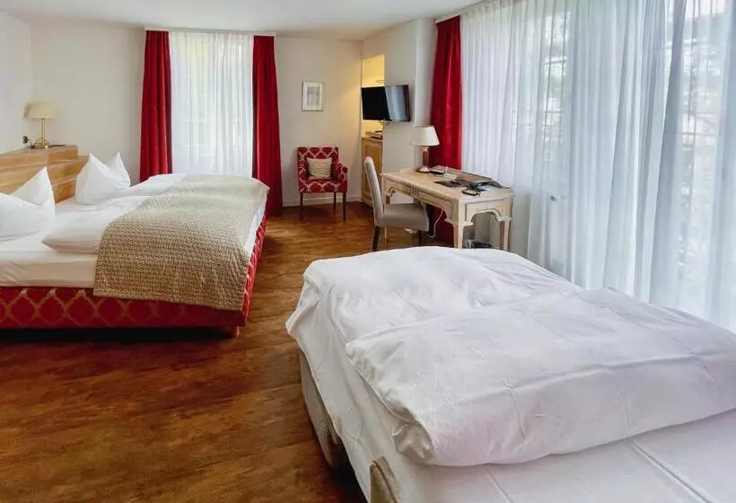 Отель Am Schloss  Superior