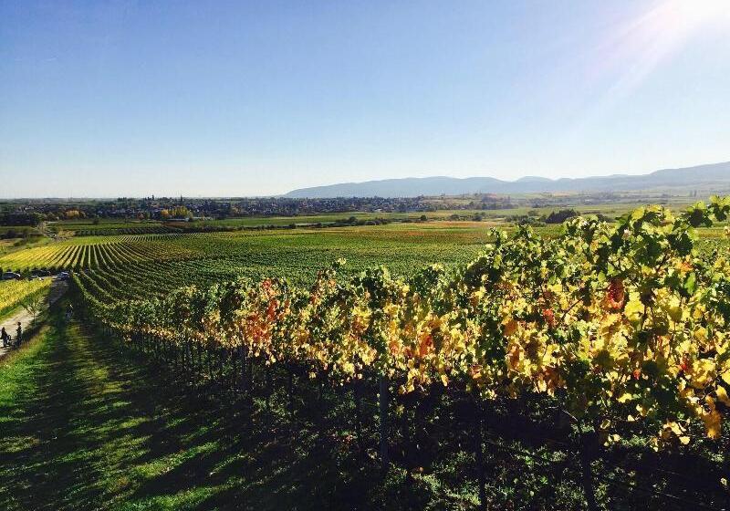 בית מלון כפרי Central