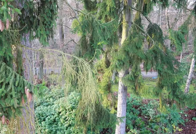 Отель Hardtwald