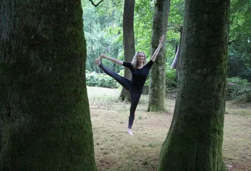 Отель Hardtwald