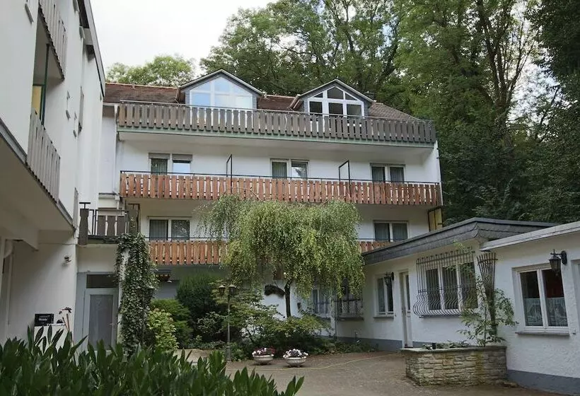 Отель Hardtwald