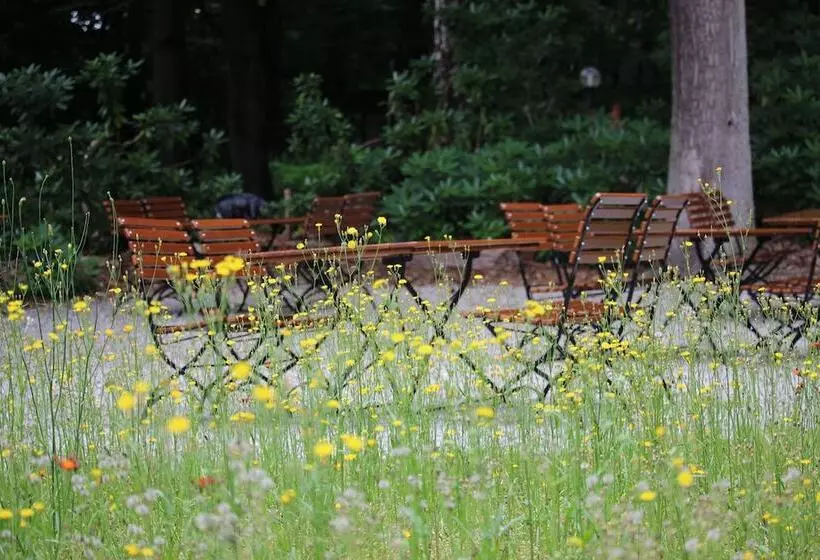 Отель Hardtwald