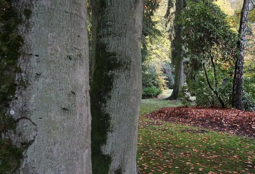 Отель Hardtwald