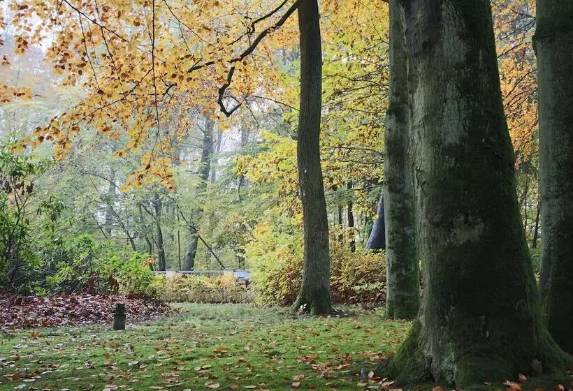 Отель Hardtwald