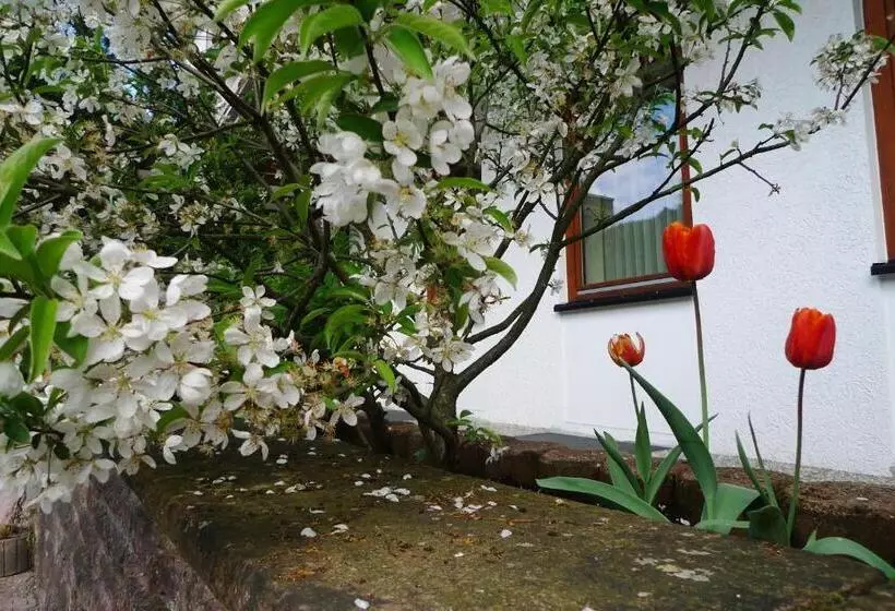 호텔 Hirsch Mit Café Klösterle