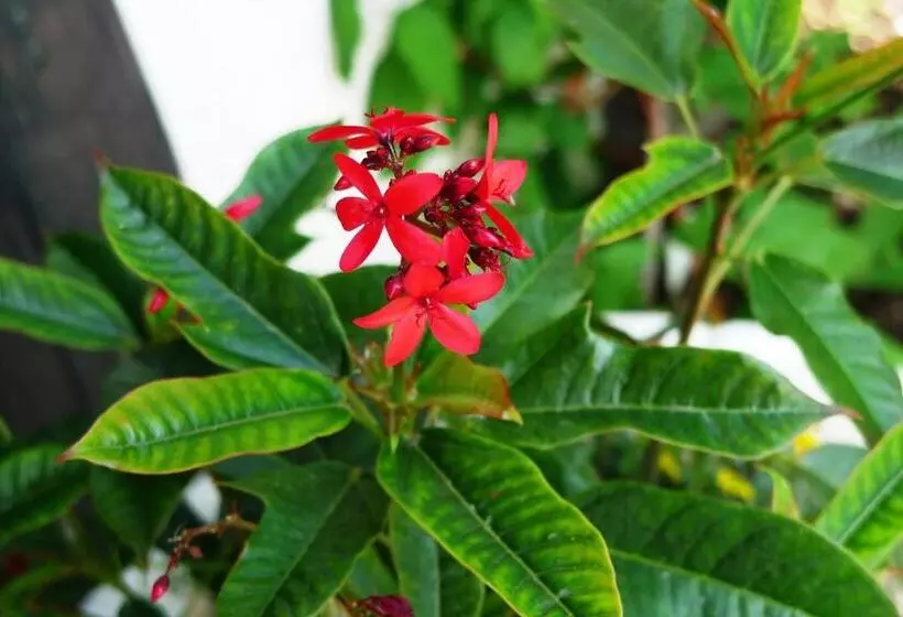 호텔 Hirsch Mit Café Klösterle