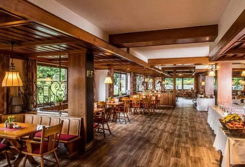 호텔 Sauerland Alpin