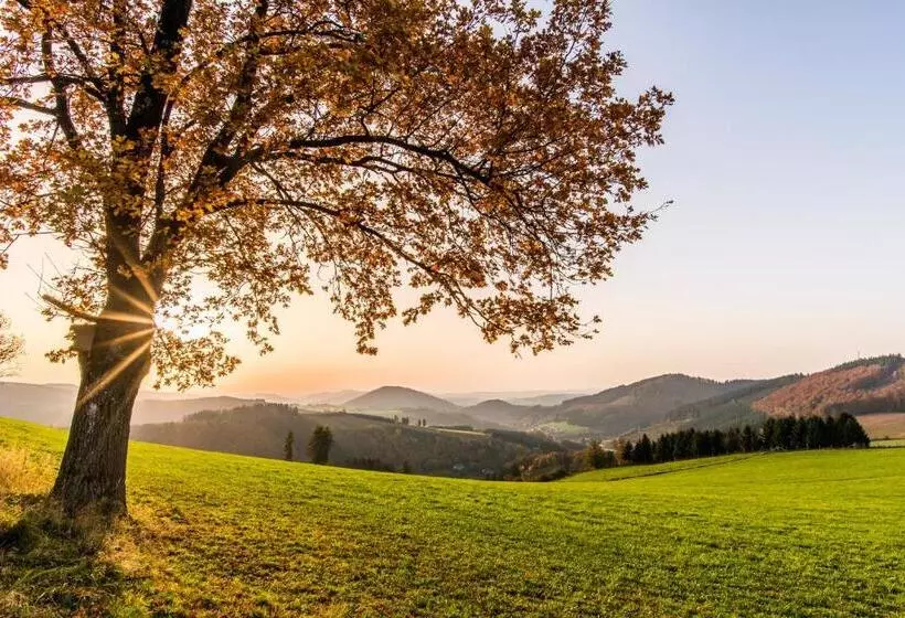 호텔 Sauerland Alpin