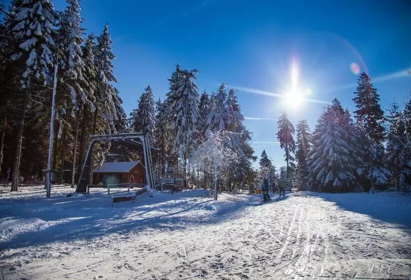 호텔 Sauerland Alpin