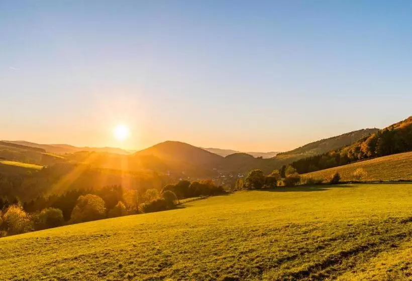 호텔 Sauerland Alpin
