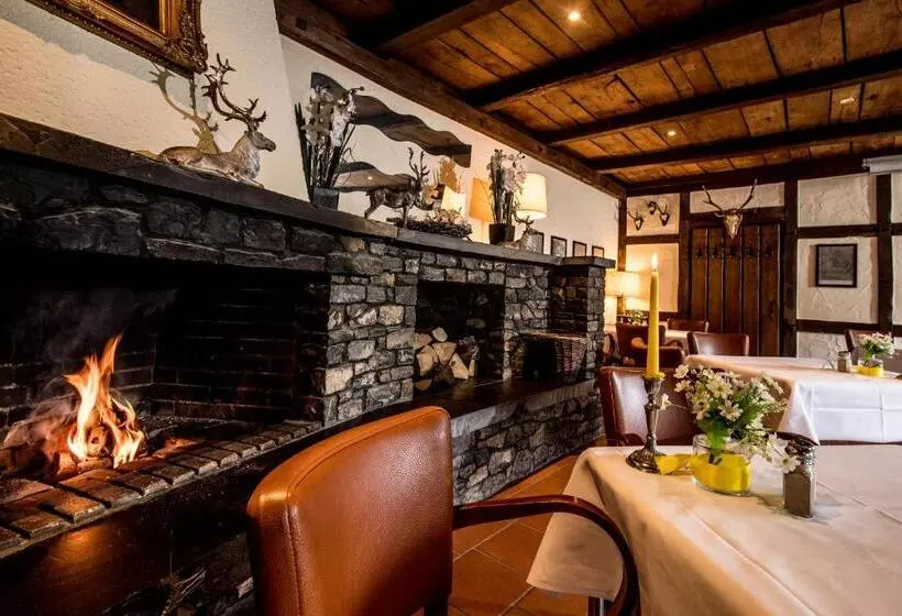 호텔 Sauerland Alpin