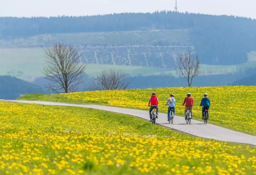 호텔 Sauerland Alpin