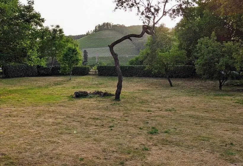 בית מלון כפרי Und Weingut Karlsmühle