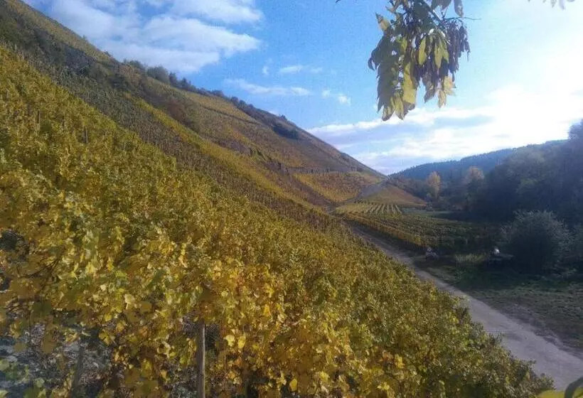 בית מלון כפרי Und Weingut Karlsmühle