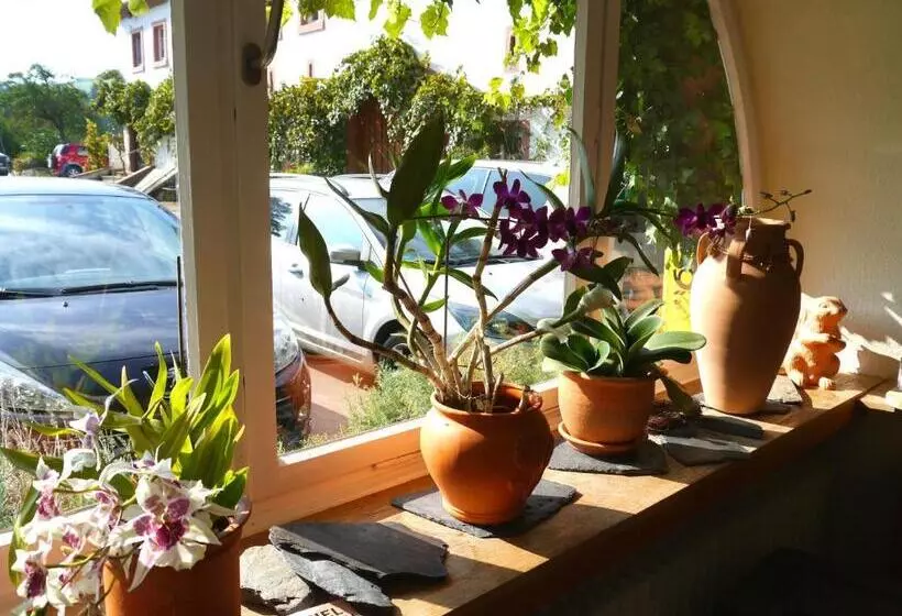 בית מלון כפרי Und Weingut Karlsmühle