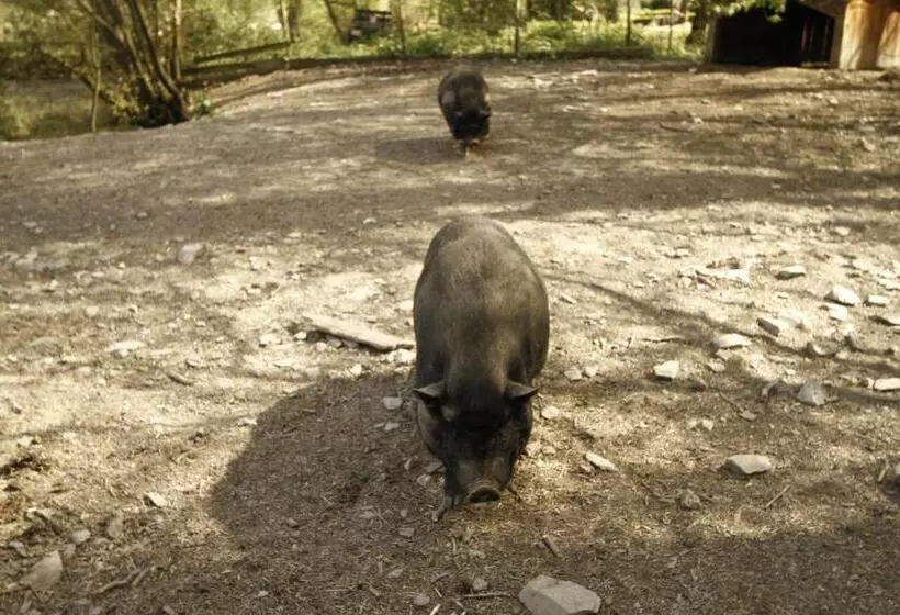 בית מלון כפרי Und Weingut Karlsmühle