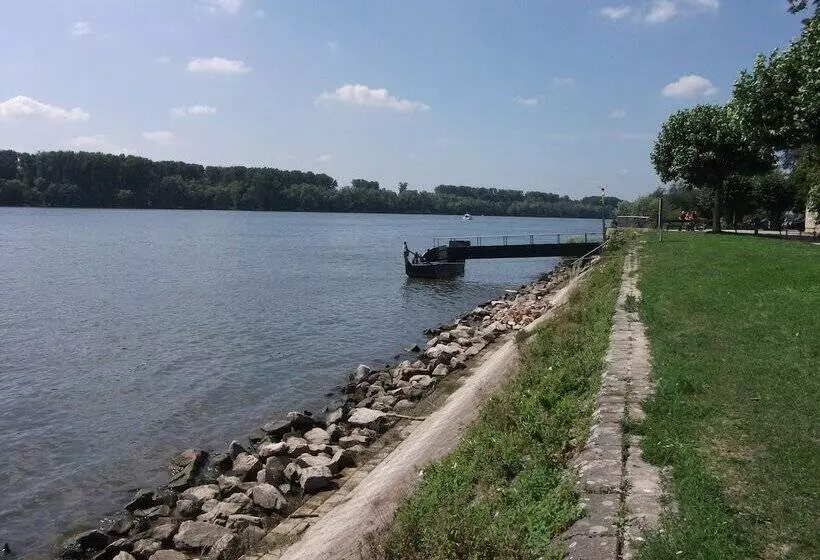 酒店 Zum Neuen Schwan