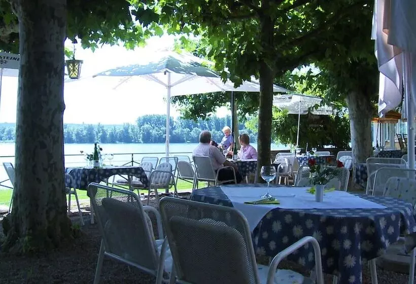 酒店 Zum Neuen Schwan