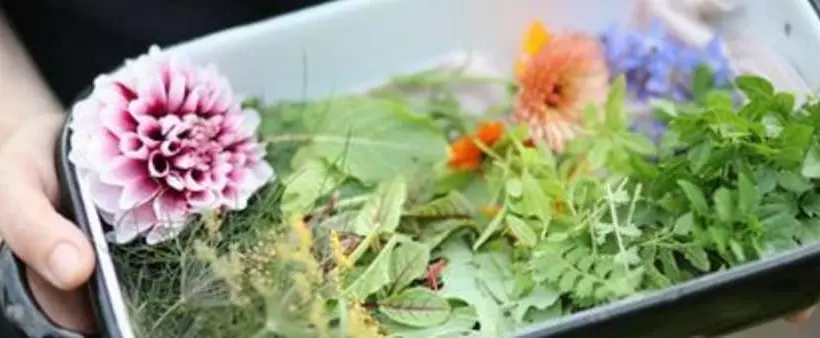 Romantik Hotel Spielweg