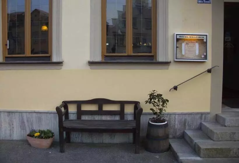 Отель Walfisch