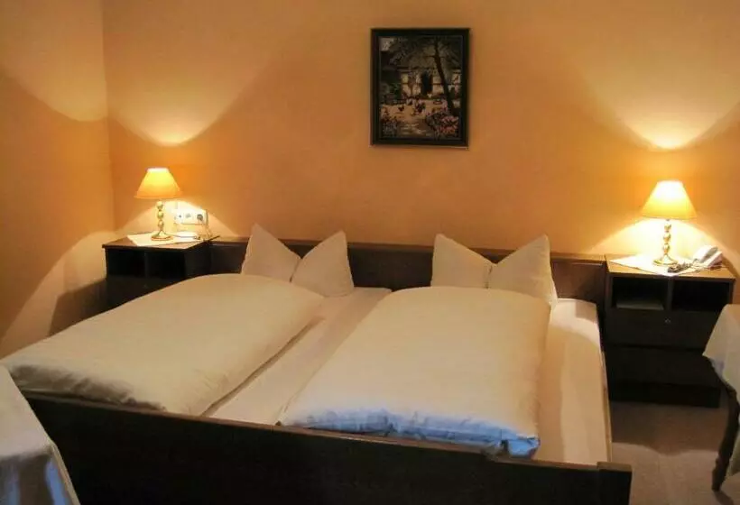 Отель Zur Schönen Aussicht