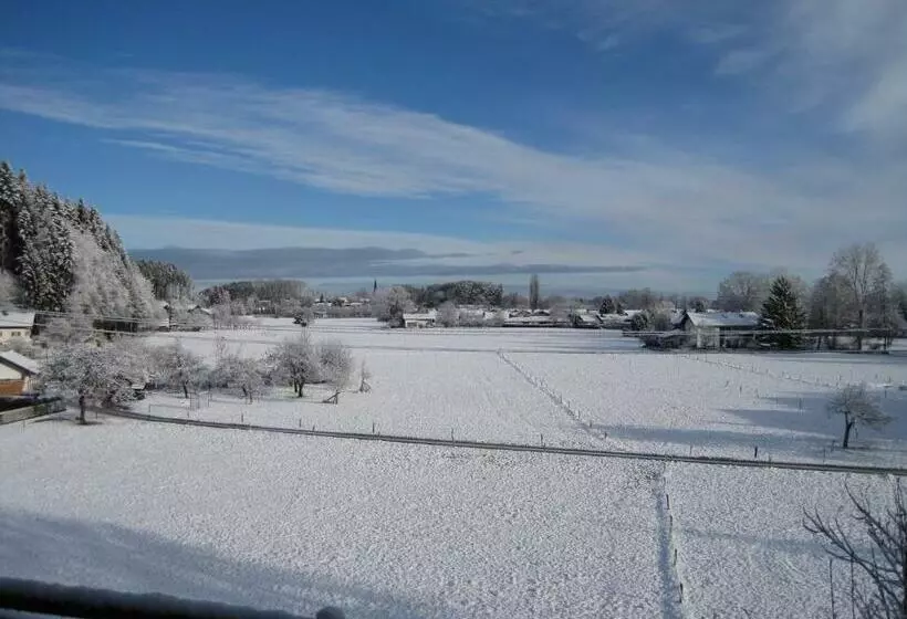 Отель Zur Schönen Aussicht