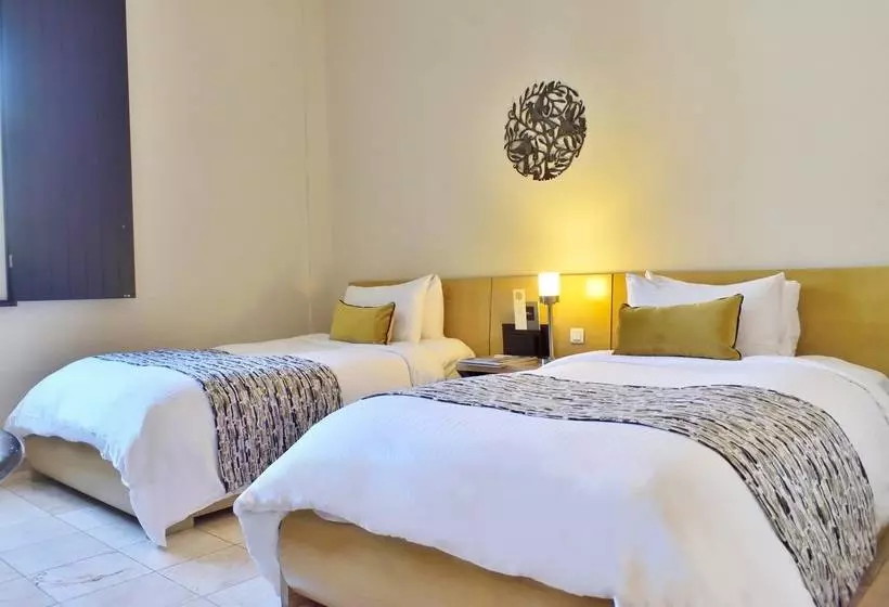 Fogadó Hodelpa Nicolas de Ovando