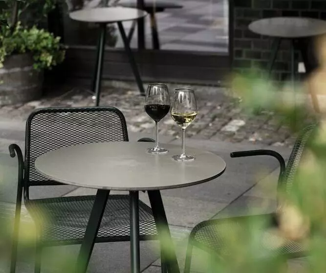 בית מלון כפרי Danmark