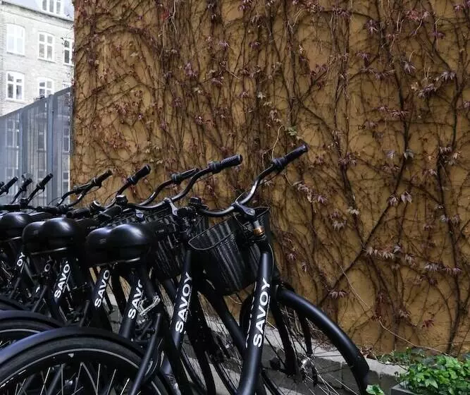 בית מלון כפרי Savoy