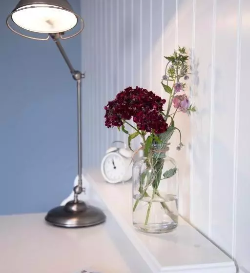 酒店 Tambohus Kro & Bade