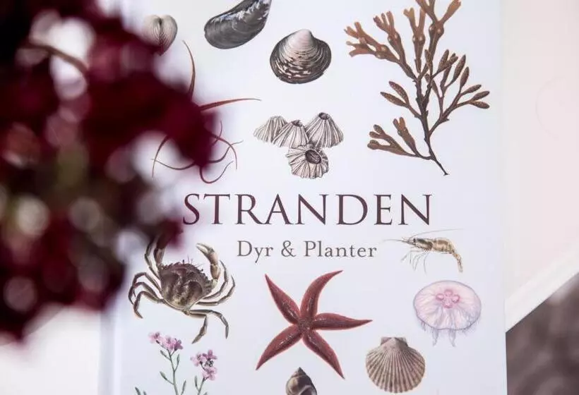 酒店 Tambohus Kro & Bade