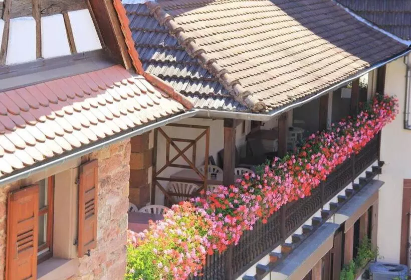 Отель Hostellerie Au Cygne